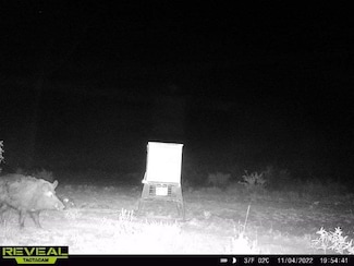 0 Bell Rd, Windthorst, TX 76389
