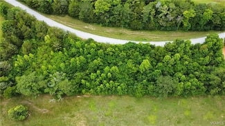 00 Julian Town Rd, Other, AL 36047
