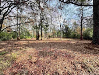 TBD Lakeshore Dr Lot#11, Jacksonville, TX 75766