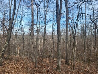 0 M-McCall Rd, Mountain Grove, MO 65711