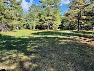 Tbd County Road 300, Big Creek, MS 38914