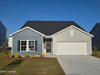 316 Ruby Baird Dr Unit Lot 183, Sneads Ferry, NC 28460