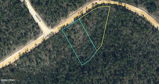 00000 W Laurel Dr, Alford, FL 32420