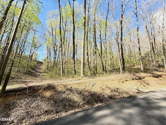 1440 Laurel Rd, Gatlinburg, TN 37738