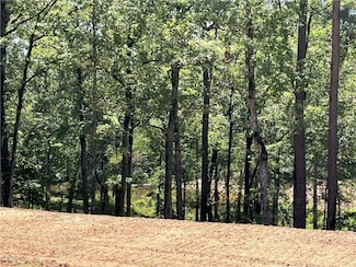 340 White Pearch Rd, Zwolle, LA 71486