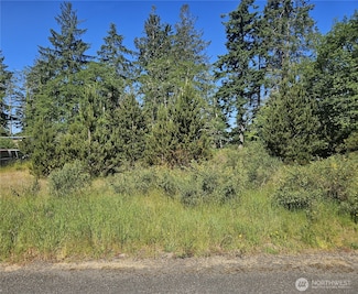0 Z St Unit NWM2384655, Ocean Park, WA 98640