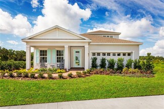 29299 Meadowcroft Ln, Wesley Chapel, FL 33544
