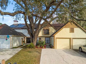 16106 Dawnview Dr, Tampa, FL 33624