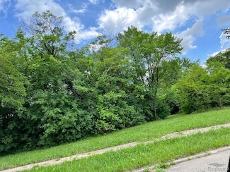 2417 W Edsel Ford Fwy, Detroit, MI 48208