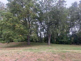 Lot A Chapin St, Grand Blanc Township, MI 48439