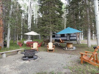 1750 Spruce Rd, Cimarron, CO 81220