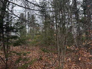 Lot 1 Gee Rd, Palmyra, ME 04965