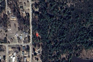 902 Harbor Ct, St. Helen, MI 48656