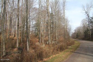 0 Fermoy Ln, Canaan Township, PA 18472