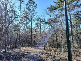 8 Elder Ct E, Sugarmill Woods, FL 34446