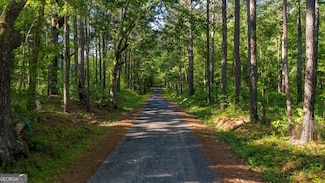 0 Padgett Rd Unit LOT 8 10432798, Senoia, GA 30276