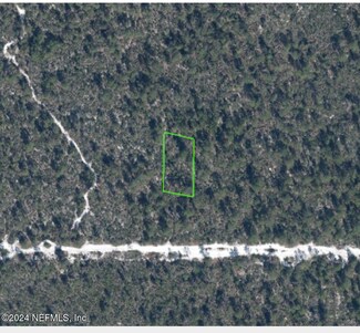 2137 Bird of Paradise Ave, Sebring, FL 33875