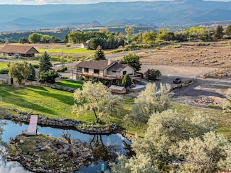 16668 Bull Mesa Rd, Cedaredge, CO 81413