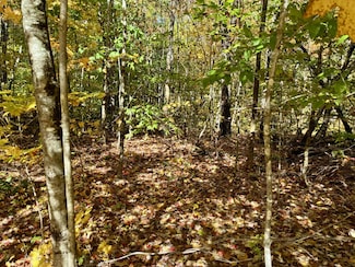 Lot 015 Intervale Rd, Temple, ME 04984