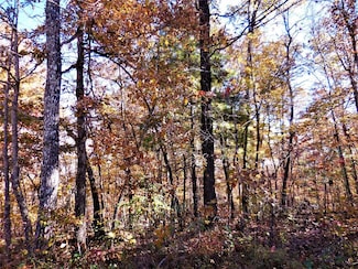 34 Meadowood Ln, Crossville, TN 38558
