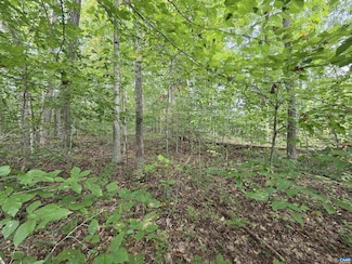 230 Beech Nut Dr Unit 951 & 952, Blue Ridge Shores, VA 23093