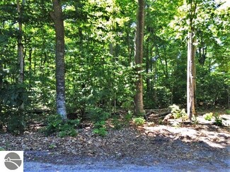 Lot 10 S Linden Ct Unit 10, Cedar, MI 49621