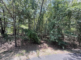 14 Versalles Ln, Hot Springs Village, AR 71909