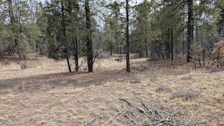 216 Allison Place, Pagosa Springs, CO 81147