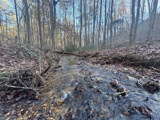 179 Vista Creek Dr, Talking Rock, GA 30175