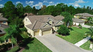 10630 Cory Lake Dr, Tampa, FL 33647