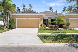 11714 Wrought Pine Loop, Riverview, FL 33569