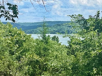 644 Indian Valley Rd, Branson West, MO 65737