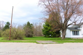 914 Williams St, Williamston, MI 48895