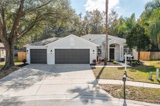 22244 Willow Lakes Dr, Lutz, FL 33549