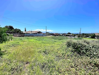 239 Wiliwili Place, Kaunakakai, HI 96748