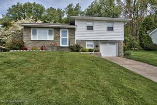 208 Meadow St, Peckville, PA 18452