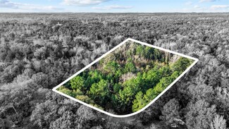 TBD County Road 4923, Ben Wheeler, TX 75754
