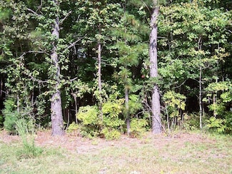 Lots 133 Little John St, Reedville, VA 22539