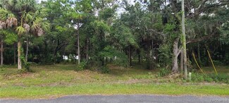 5575 N Brookgreen Dr, Crystal River, FL 34428