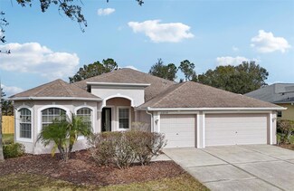22707 Eagles Watch Dr, Land O Lakes, FL 34639