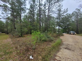 101 E Bluebottle Ct, Defuniak Springs, FL 32433