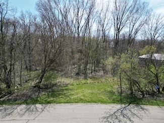 0 Webber St, Ionia, MI 48846