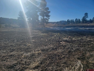 660 Trails Blvd, Pagosa Springs, CO 81147