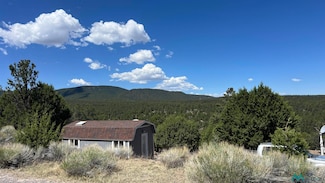 15 Crestview Dr, Quemado, NM 87829