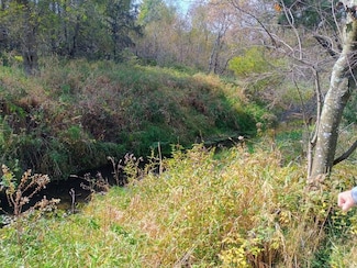 3571 E Decker Rd, Custer, MI 49405