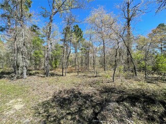 Lot 12 SE 117 Terrace, Morriston, FL 32668