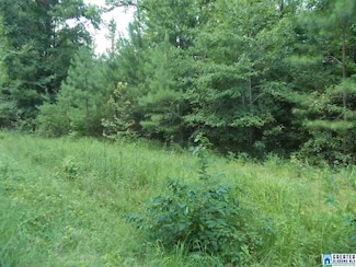 0 Valley Trail Unit 500 790588, Warrior, AL 35180