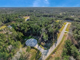 8107 High Meadow Ridge Ct, Montgomery, TX 77316