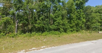 540 NE 558th St, Old Town, FL 32680