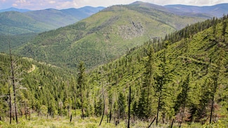 Nhn Swamp Creek Hunting Ranch, Plains, MT 59859